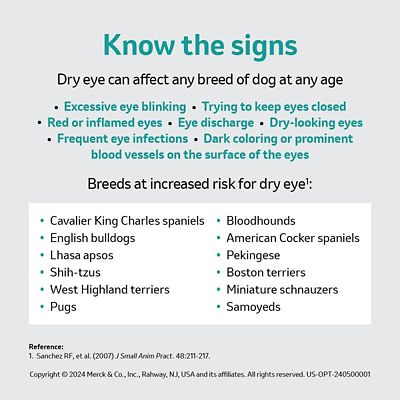 Image showing  Ophthalmic Ointment, 0.2%, 3.5g