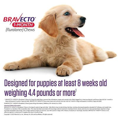 Image showing  1-Month Chews