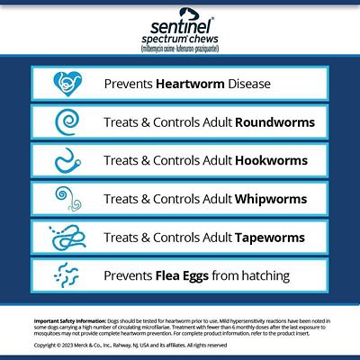 Image showing  Spectrum