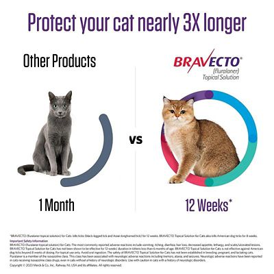 Image showing  Topical Solution for Cats