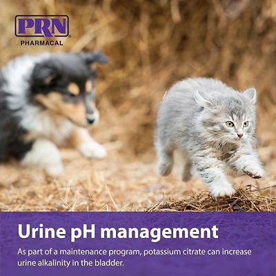 Image showing  Potassium Citrate Chewable Tablets, 60 ct.