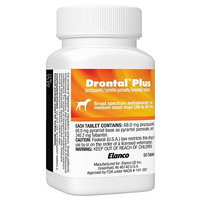 Image showing  Plus for Dogs