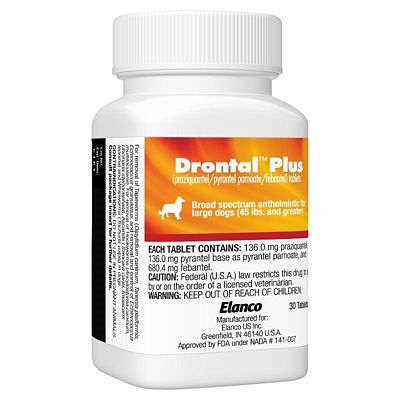 Image showing  Plus for Dogs