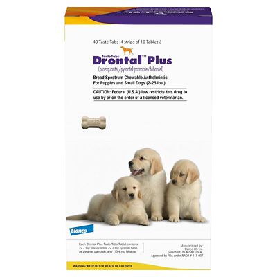 Image showing  Plus Dewormer Taste Tablet for Dogs