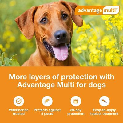 Image showing  Multi Topical for Dogs