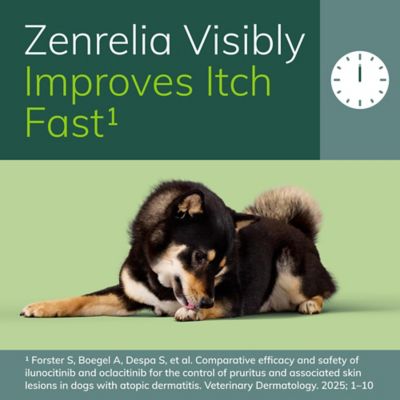 Image showing  Tablet