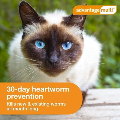 Image showing  Multi Topical for Cats