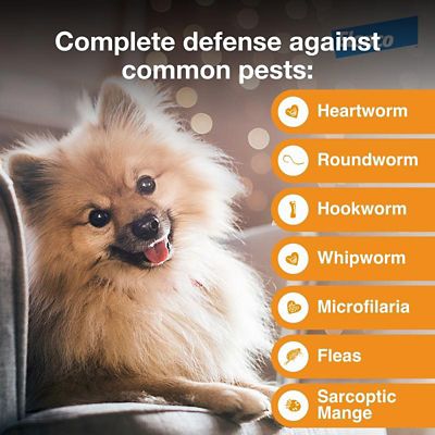 Image showing  Multi Topical for Dogs