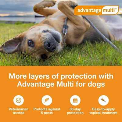 Image showing  Multi Topical for Dogs
