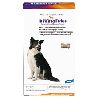 Image showing  Plus Dewormer Taste Tablet for Dogs