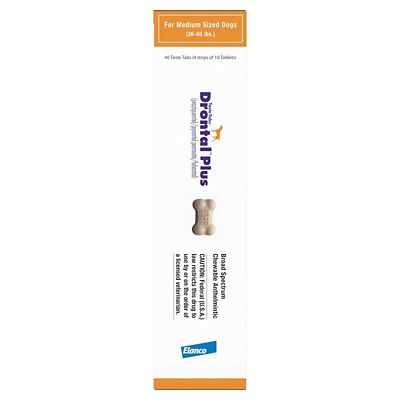 Image showing  Plus Dewormer Taste Tablet for Dogs
