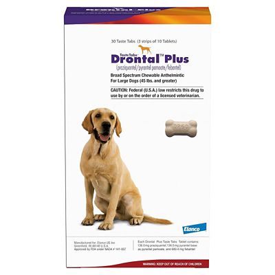 Image showing  Plus Dewormer Taste Tablet for Dogs