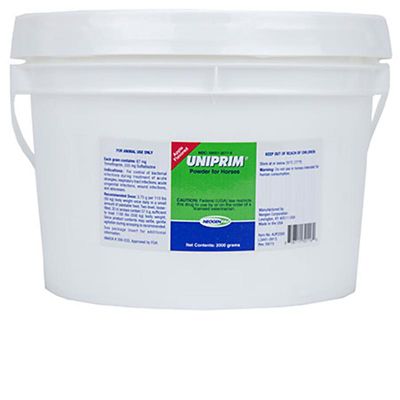 Image showing  Apple Flavor Powder for Horses