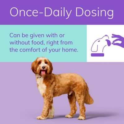 Image showing  Tablet