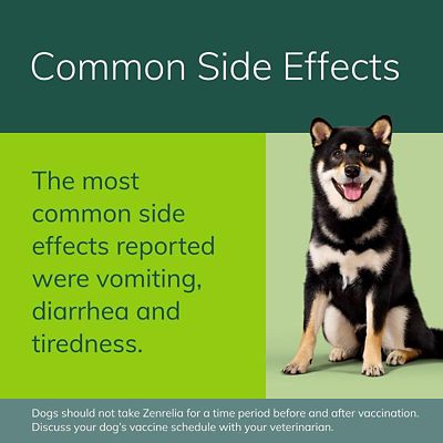 Image showing  Tablet