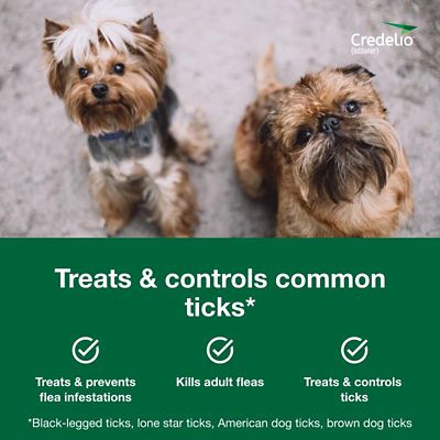 Image showing  Flea and Tick Chewable Tablets for Dogs and Puppies