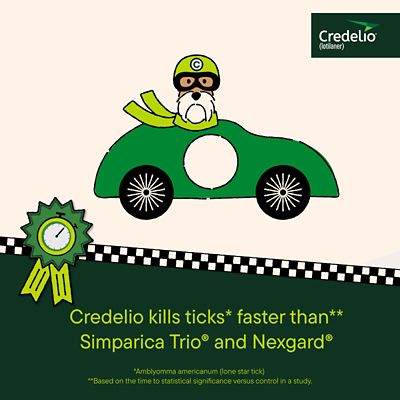 Image showing  Flea and Tick Chewable Tablets for Dogs and Puppies