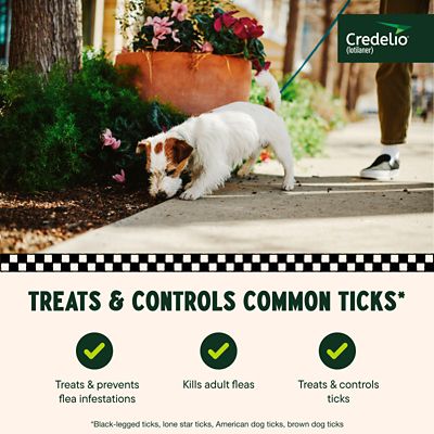 Image showing  Flea and Tick Chewable Tablets for Dogs and Puppies