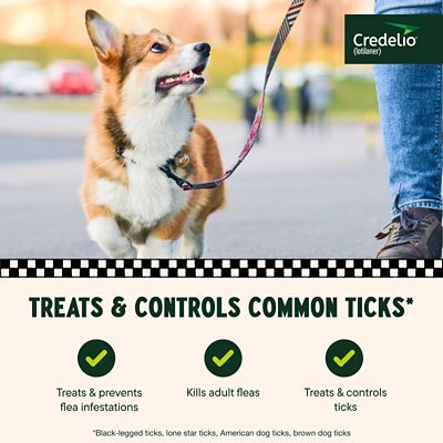 Image showing  Flea and Tick Chewable Tablets for Dogs and Puppies