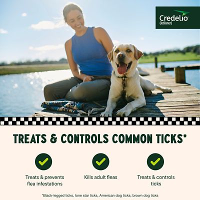 Image showing  Flea and Tick Chewable Tablets for Dogs and Puppies