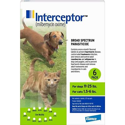 Image showing  for Dogs and Cats