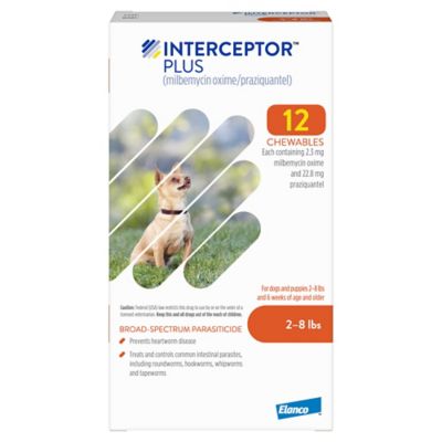 Image showing  Plus Chewable Tablets for Dogs