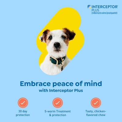 Image showing  Plus Chewable Tablets for Dogs