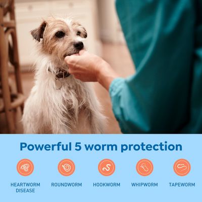 Image showing  Plus Chewable Tablets for Dogs