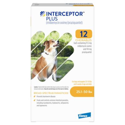 Image showing  Plus Chewable Tablets for Dogs