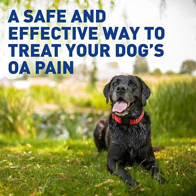 Image showing  (Deracoxib) Chewable Tablets