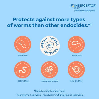 Image showing  Plus Chewable Tablets for Dogs