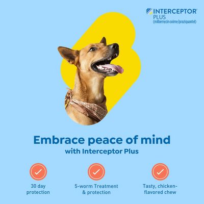 Image showing  Plus Chewable Tablets for Dogs