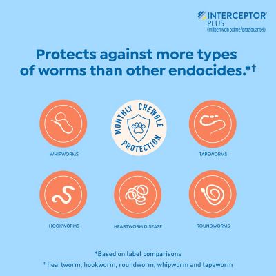 Image showing  Plus Chewable Tablets for Dogs