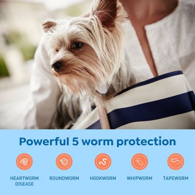 Image showing  Plus Chewable Tablets for Dogs