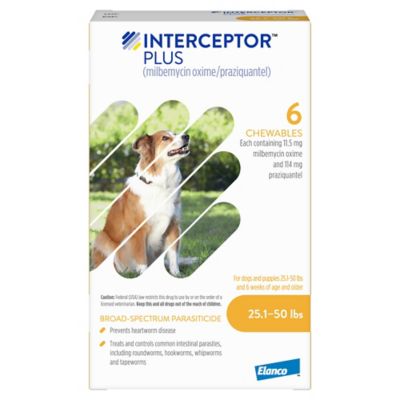 Image showing  Plus Chewable Tablets for Dogs