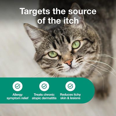 Image showing  (Cyclosporine) Oral Solution, 100 mg/mL