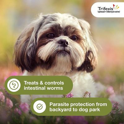 Image showing  Chewable Tablets for Dogs