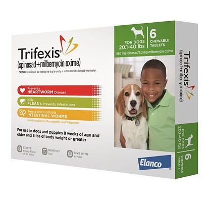 Image showing  Chewable Tablets for Dogs