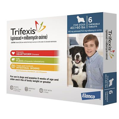 Image showing  Chewable Tablets for Dogs