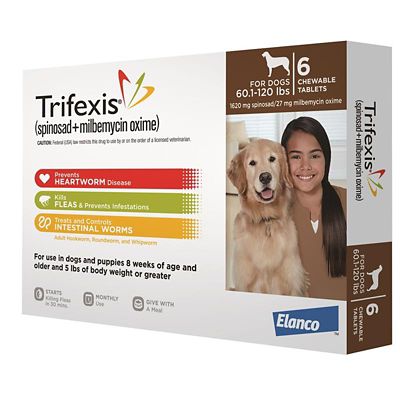 Image showing  Chewable Tablets for Dogs