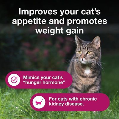 Image showing  (Capromorelin) Oral Solution, 20 mg/mL, 15 mL