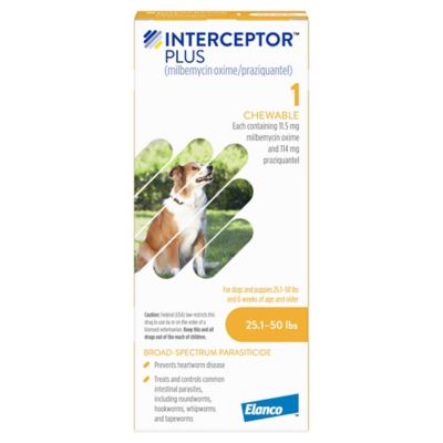 Image showing  Plus Chewable Tablets for Dogs