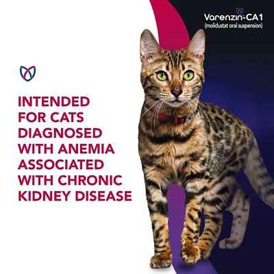 Image showing  (Molidustat) Oral Suspension, 27 mL