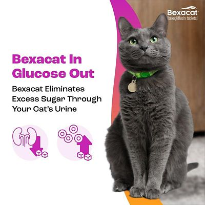 Image showing  (Bexagliflozin) Tablets for Cats