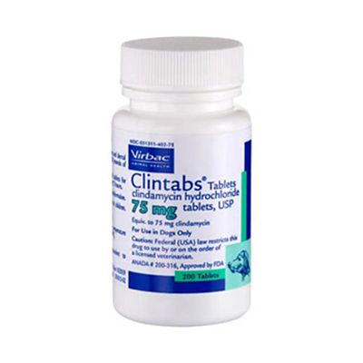 Clintabs (Clindamycin) Tablets