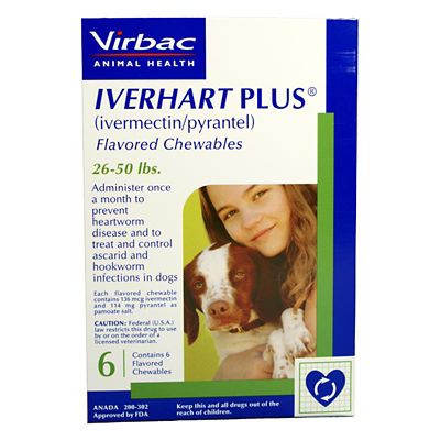 Image showing  Plus Flavored Chewables for Dogs