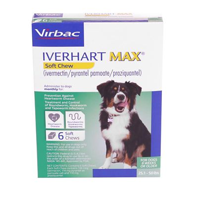 Iverhart Max Soft Chews at Tractor Supply Co