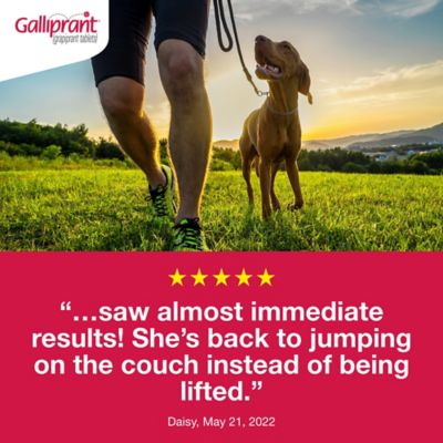 Image showing  (Grapiprant) Flavored Tablet