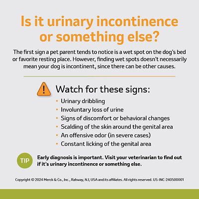 Image showing  (Estriol) Tablets, 1 mg, 30 ct.