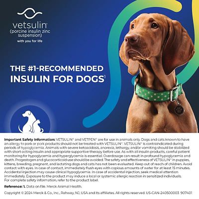 Image showing  Diabetic Pet Starter Kit